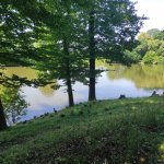 phoca_thumb_m_motlci vlet 17 Fotogalerie